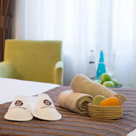 Hotel Seminal Taksim 4*